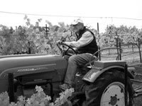 Winemaker, Peter Kitchak